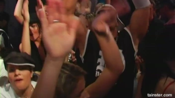 Pimp Awards Part 1 - Cam 2 Screencap 85 on www.sinx.com