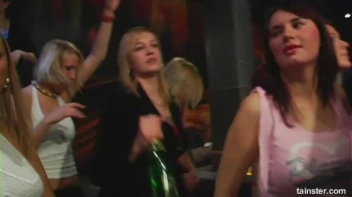 Pimp Awards Part 1 - Cam 2 Screencap 78 on www.sinx.com