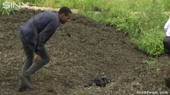 Muddy Mixed Wrestling For Arguing Couple - Cam 1 Screencap 31 on www.sinx.com