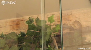 Tongue Twisted Lezzy Girlfriends Screencap 55 on www.sinx.com