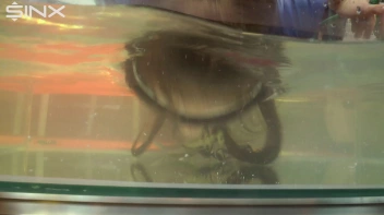 Let The Wet And Messy Games Begin! Screencap 41 on www.sinx.com