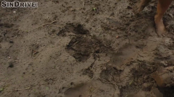 A Lesbian Masterpiece - "Rumble In The Dirt" - It's A Party Of 5: Just A Fine Mess With Pussy & Ass ... Dirty Divas ... Screencap 38 on www.sinx.com