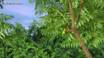 Stereo Fist Fuck - Marica Hase & Bibi Noel In Oily Fist and Dick Foursome Screencap 1 on www.sinx.com