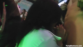 Party Hardcore Gone Crazy Vol. 11 Part 3 - Cam 2 Screencap 27 on www.sinx.com