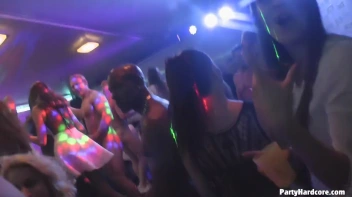 Party Hardcore Gone Crazy Vol. 29 Part 7 - Cam 3 Screencap 80 on www.sinx.com