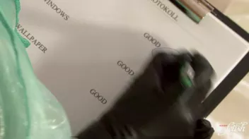 Nothing Like a Good Fuck Bribe Screencap 7 on www.sinx.com