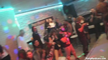 Party Hardcore Gone Crazy Vol. 31 Part 4 - Cam 2 Screencap 23 on www.sinx.com