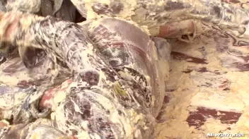 Furious Female Food Fight Screencap 90 on www.sinx.com