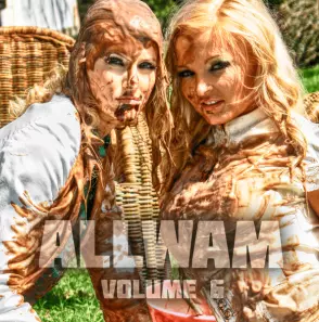 Allwam Vol.6