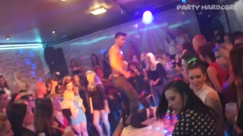 Party Hardcore Gone Crazy Vol. 15 Part 4 - Cam 4 Screencap 8 on www.sinx.com