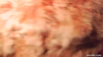 Rough Riders Part 1 - Cam 2 Screencap 14 on www.sinx.com