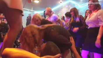 Party Hardcore Gone Crazy Vol. 16 Part 4 - Cam 4 Screencap 74 on www.sinx.com