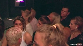 Saucy Sluts Let Loose - Cam 3 Screencap 3 on www.sinx.com