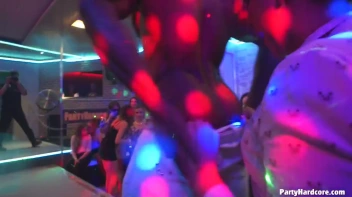 Party Hardcore Gone Crazy Vol. 31 Part 3 - Cam 1 Screencap 78 on www.sinx.com