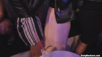 Party Hardcore Gone Crazy Vol. 29 Part 1 - Cam 2 Screencap 25 on www.sinx.com