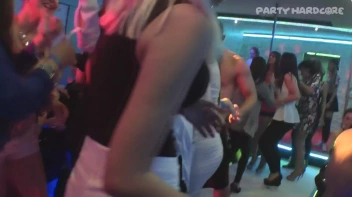 Party Hardcore Gone Crazy Vol. 14 Part 5 - Cam 3 Screencap 22 on www.sinx.com
