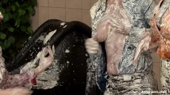 The Full WaM Treatment Screencap 79 on www.sinx.com