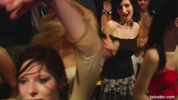 Pimp Awards Part 4 - Cam 2 Screencap 98 on www.sinx.com