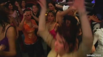 Pimp Awards Part 4 - Cam 2 Screencap 101 on www.sinx.com