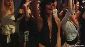 Pimp Awards Part 4 - Cam 2 Screencap 44 on www.sinx.com