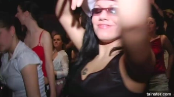 Pimp Awards Part 4 - Cam 3 Screencap 67 on www.sinx.com