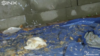 Playful Girls Splat Each Other With Cream Pies - Cam 2 Screencap 31 on www.sinx.com