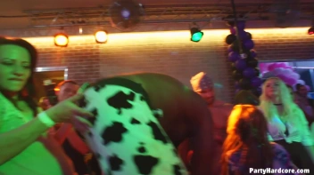 Party Hardcore Gone Crazy Vol. 38 Part 7 - Cam 2 Screencap 1 on www.sinx.com